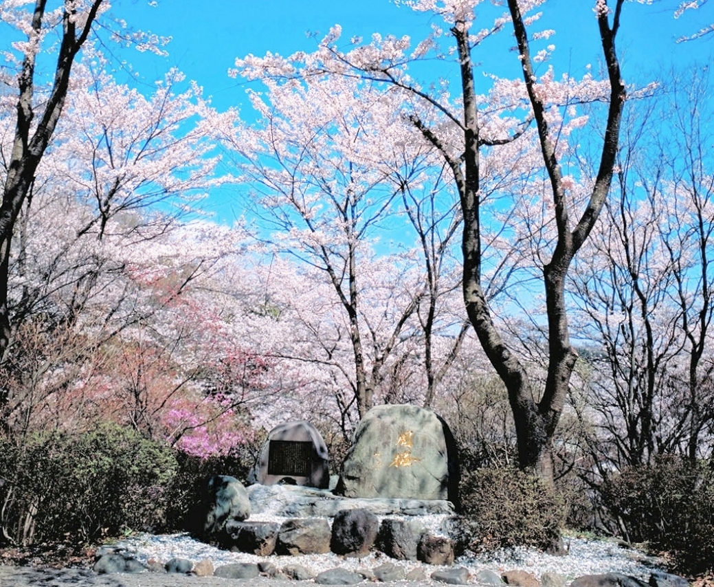 周恩来・池田大作会見50周年記念シンポジウムを開催します